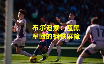 布尔迪索：蓝黑军团的钢铁屏障