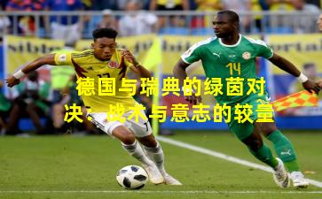 德国与瑞典的绿茵对决：战术与意志的较量