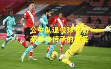 公牛队退役球衣：荣耀与传承的象征